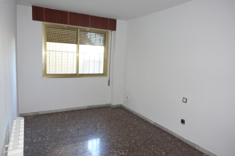 DSC07981